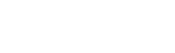 TALENT-net Logo